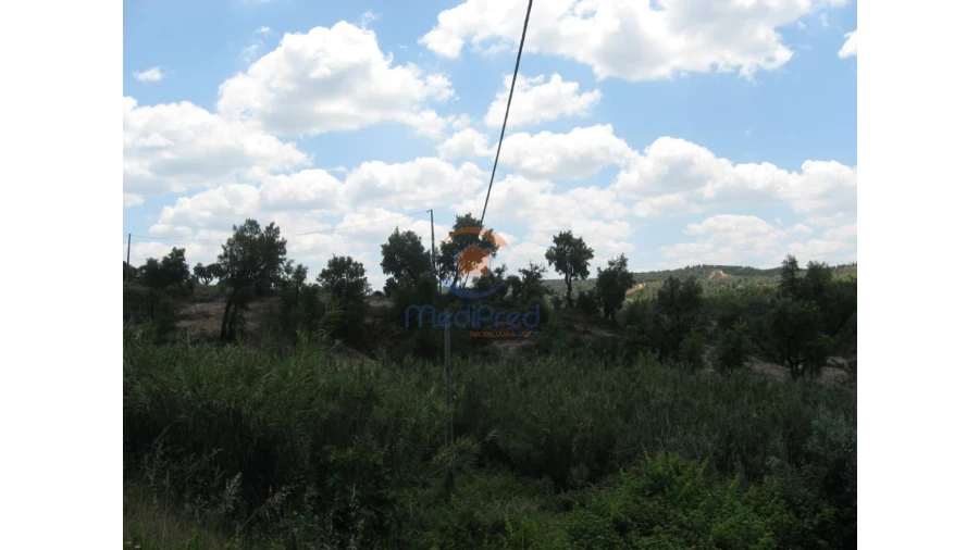 Terreno para Venda em Chamusca e Pinheiro Grande Foto 57