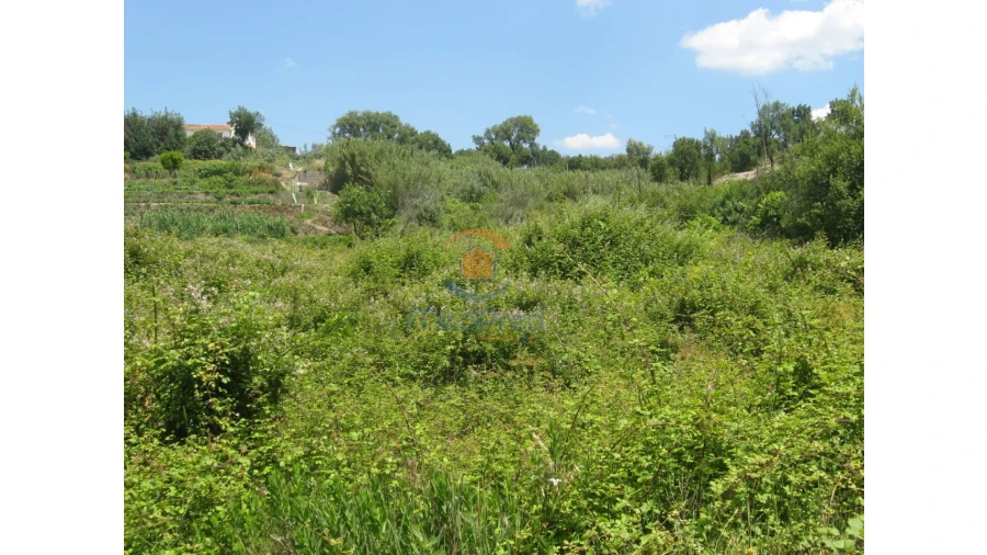 Terreno para Venda em Chamusca e Pinheiro Grande Foto 59