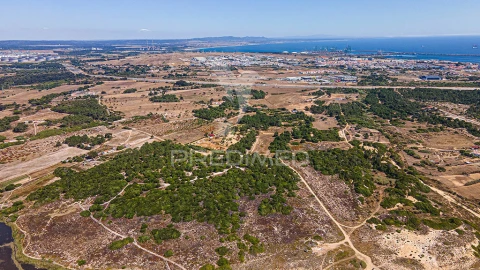 Terreno para Venda em Sines