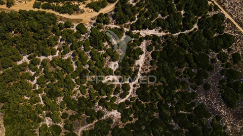 Terreno para Venda em Sines