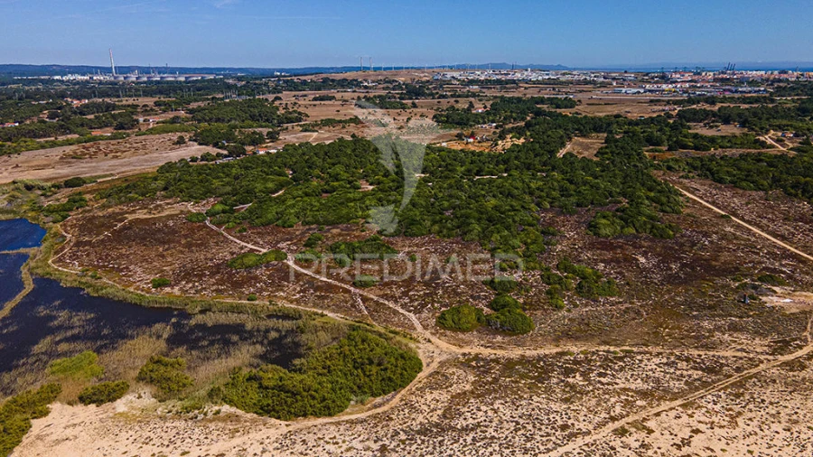 Terreno para Venda em Sines Foto 13