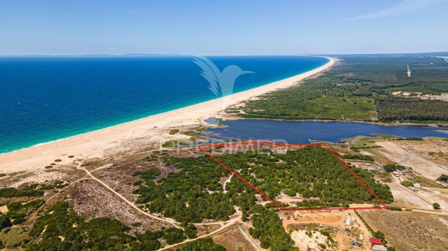 Terreno para Venda em Sines Foto 6