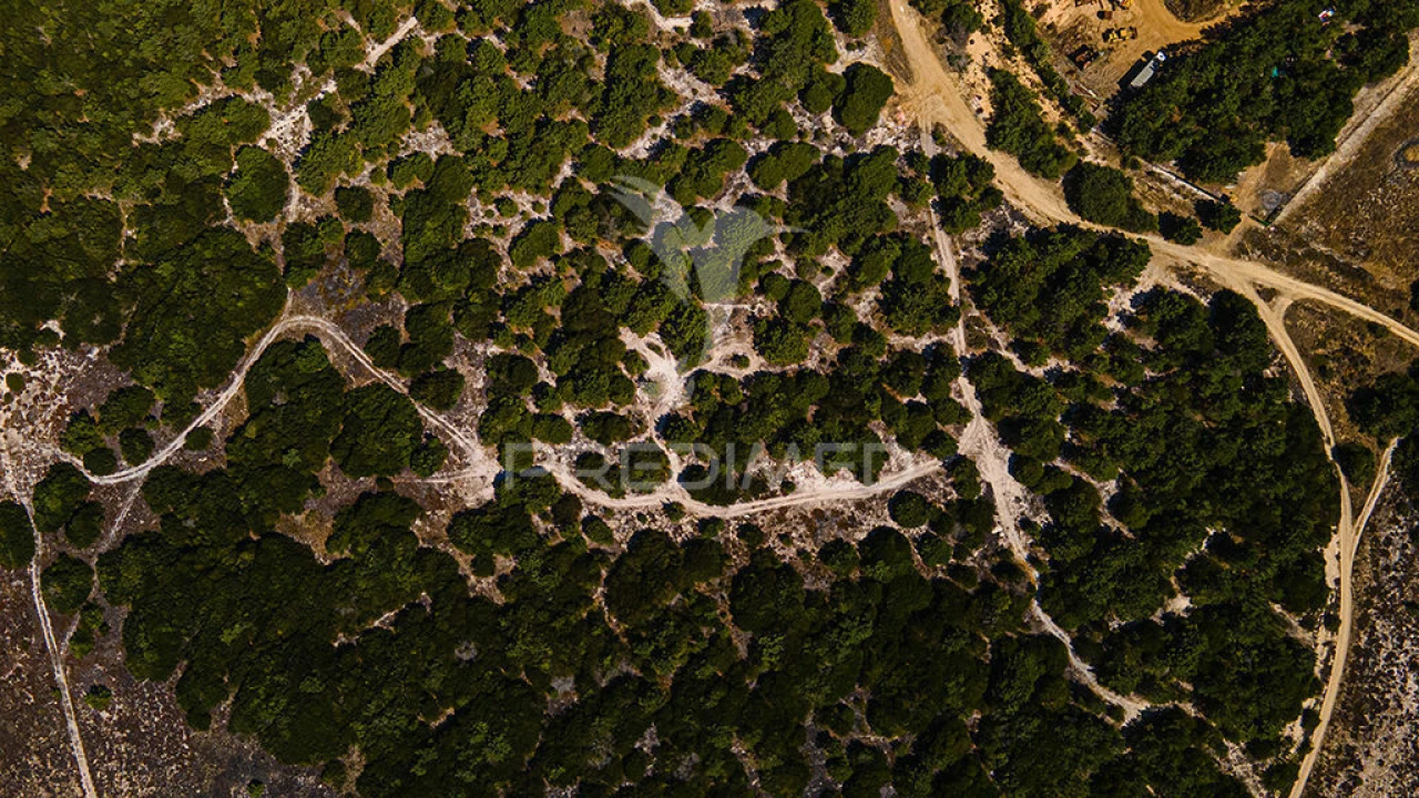 Terreno para Venda em Sines Foto 10