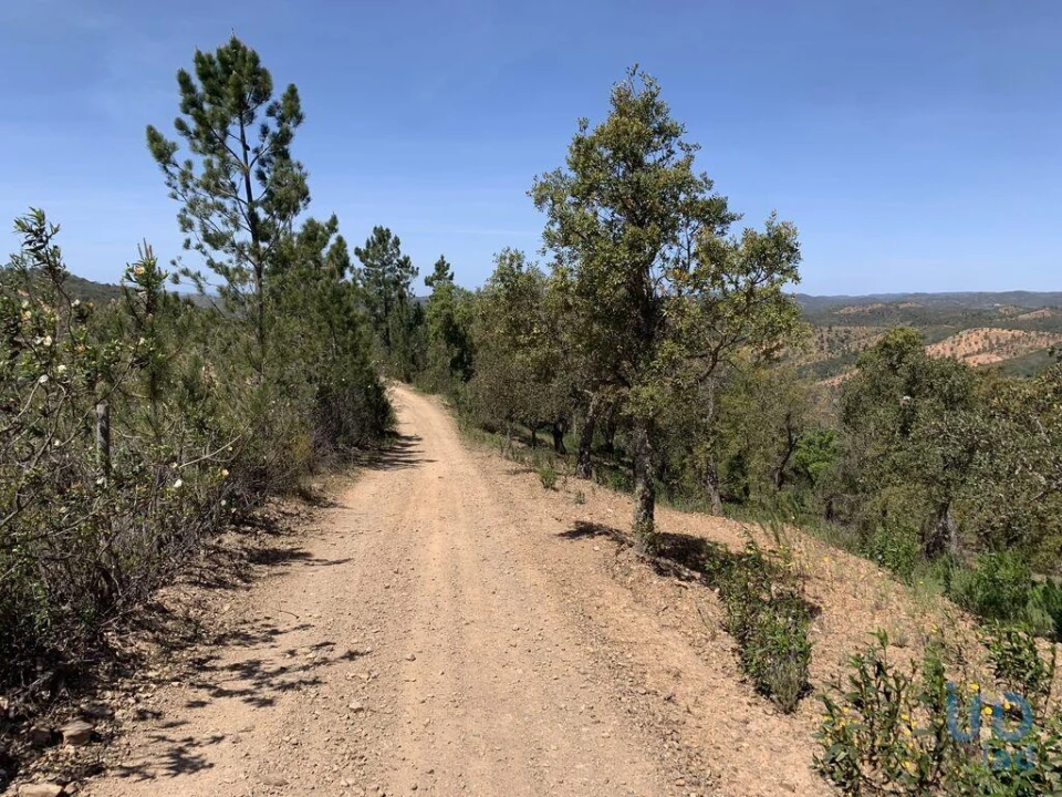 Terreno para Venda em Querença, Tôr e Benafim Foto 6