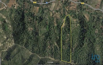 Terreno para Venda em Querença, Tôr e Benafim