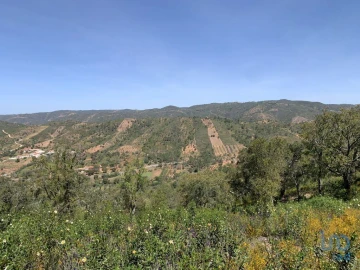 Terreno para Venda em Querença, Tôr e Benafim