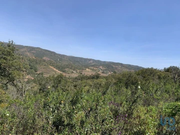 Terreno para Venda em Querença, Tôr e Benafim