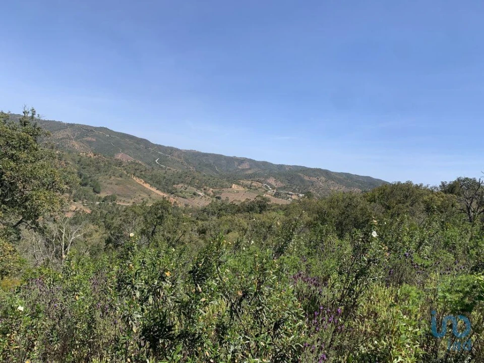 Terreno para Venda em Querença, Tôr e Benafim Foto 1