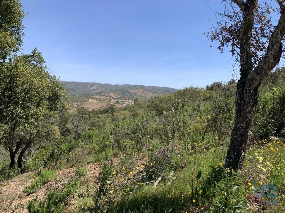 Terreno para Venda em Querença, Tôr e Benafim Foto 2