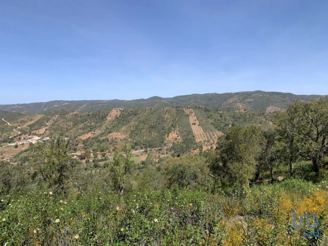 Terreno para Venda em Querença, Tôr e Benafim Foto 3