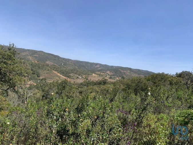 Terreno para Venda em Querença, Tôr e Benafim