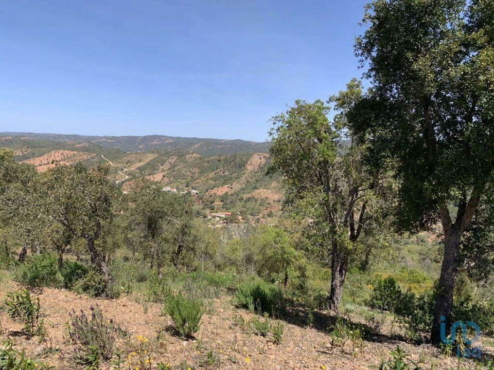 Terreno para Venda em Querença, Tôr e Benafim Foto 5