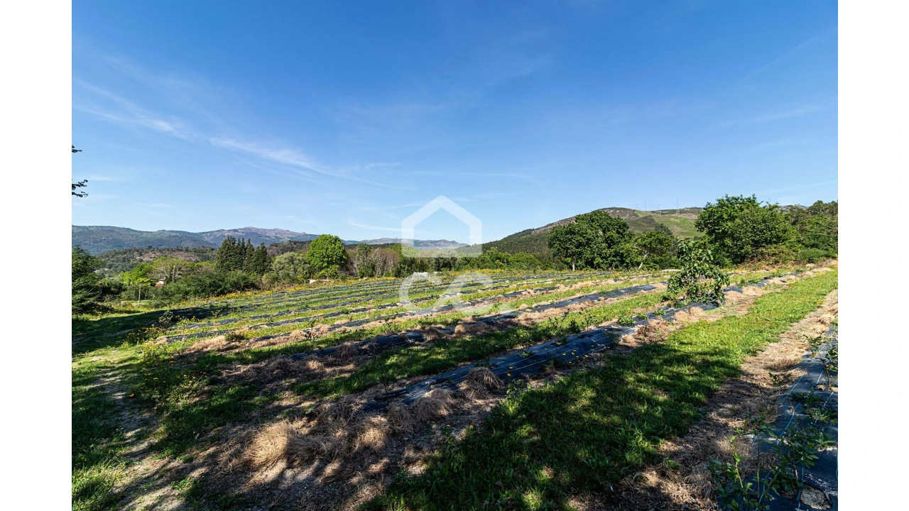 Quinta para Venda em São João de Rei Foto 23