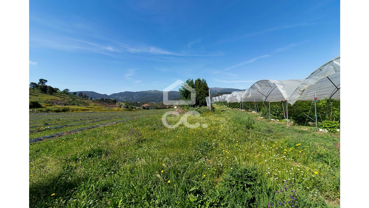 Quinta para Venda em São João de Rei Foto 16
