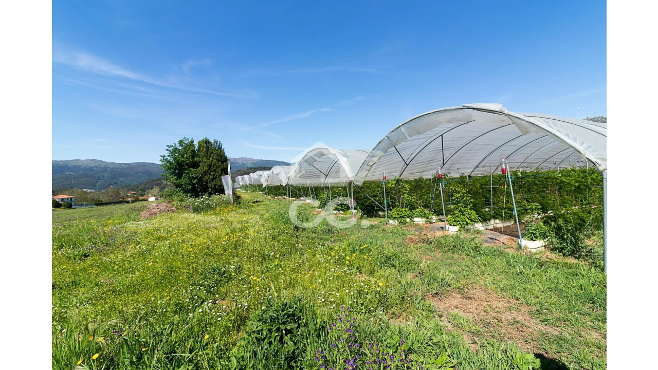 Quinta para Venda em São João de Rei Foto 17