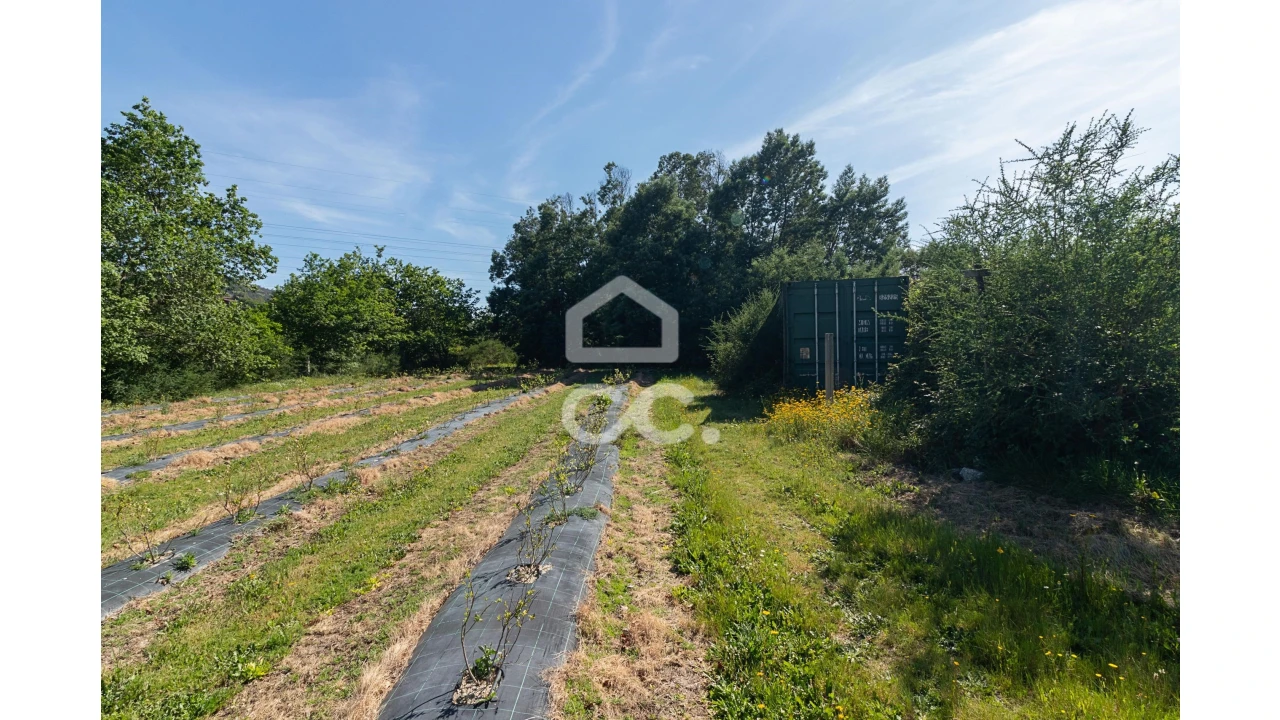 Quinta para Venda em São João de Rei Foto 12
