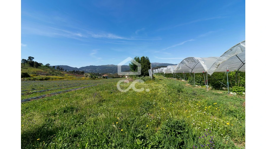 Quinta para Venda em São João de Rei Foto 16