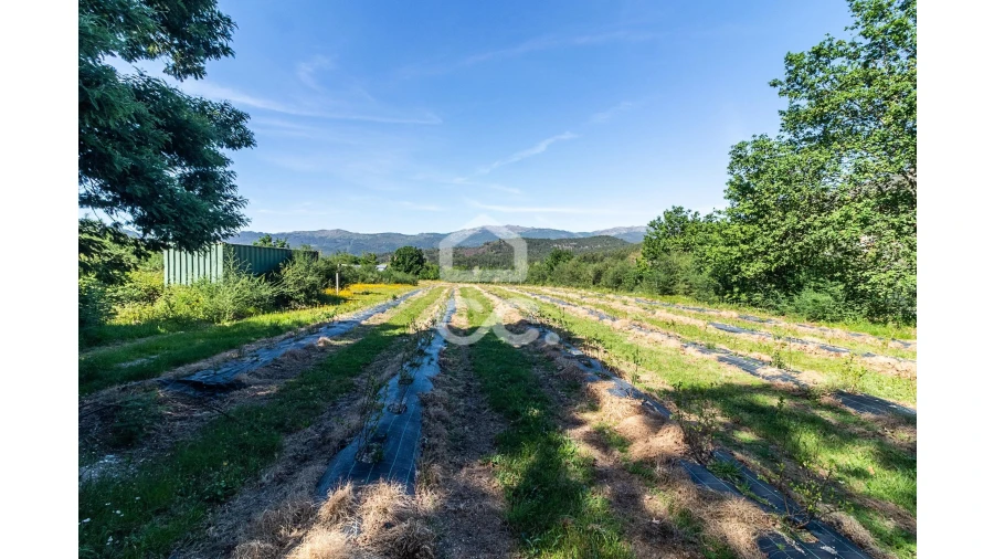 Quinta para Venda em São João de Rei Foto 13