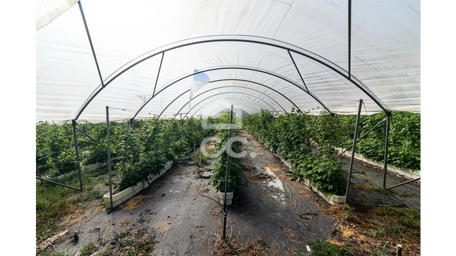 Quinta para Venda em São João de Rei Foto 15