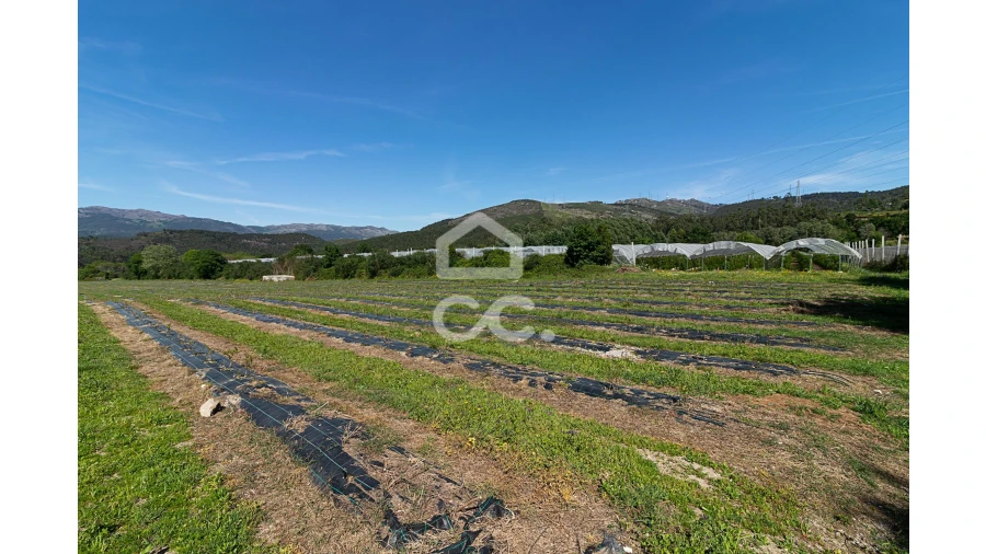 Quinta para Venda em São João de Rei Foto 20