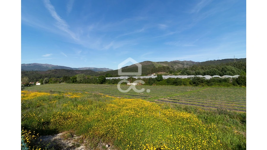 Quinta para Venda em São João de Rei Foto 27