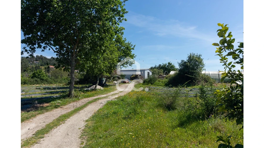Quinta para Venda em São João de Rei Foto 5
