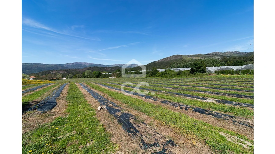 Quinta para Venda em São João de Rei Foto 19