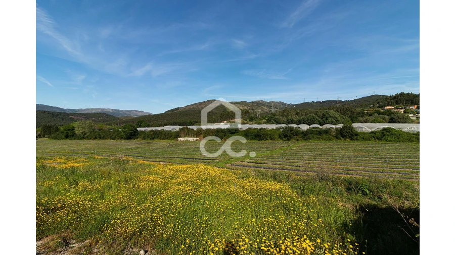 Quinta para Venda em São João de Rei Foto 29