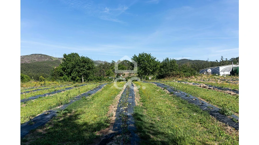 Quinta para Venda em São João de Rei Foto 25