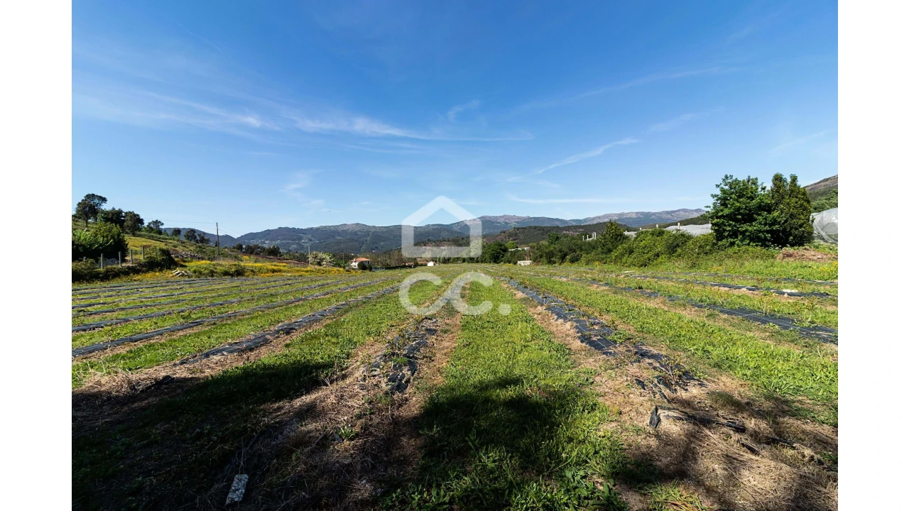 Quinta para Venda em São João de Rei Foto 18