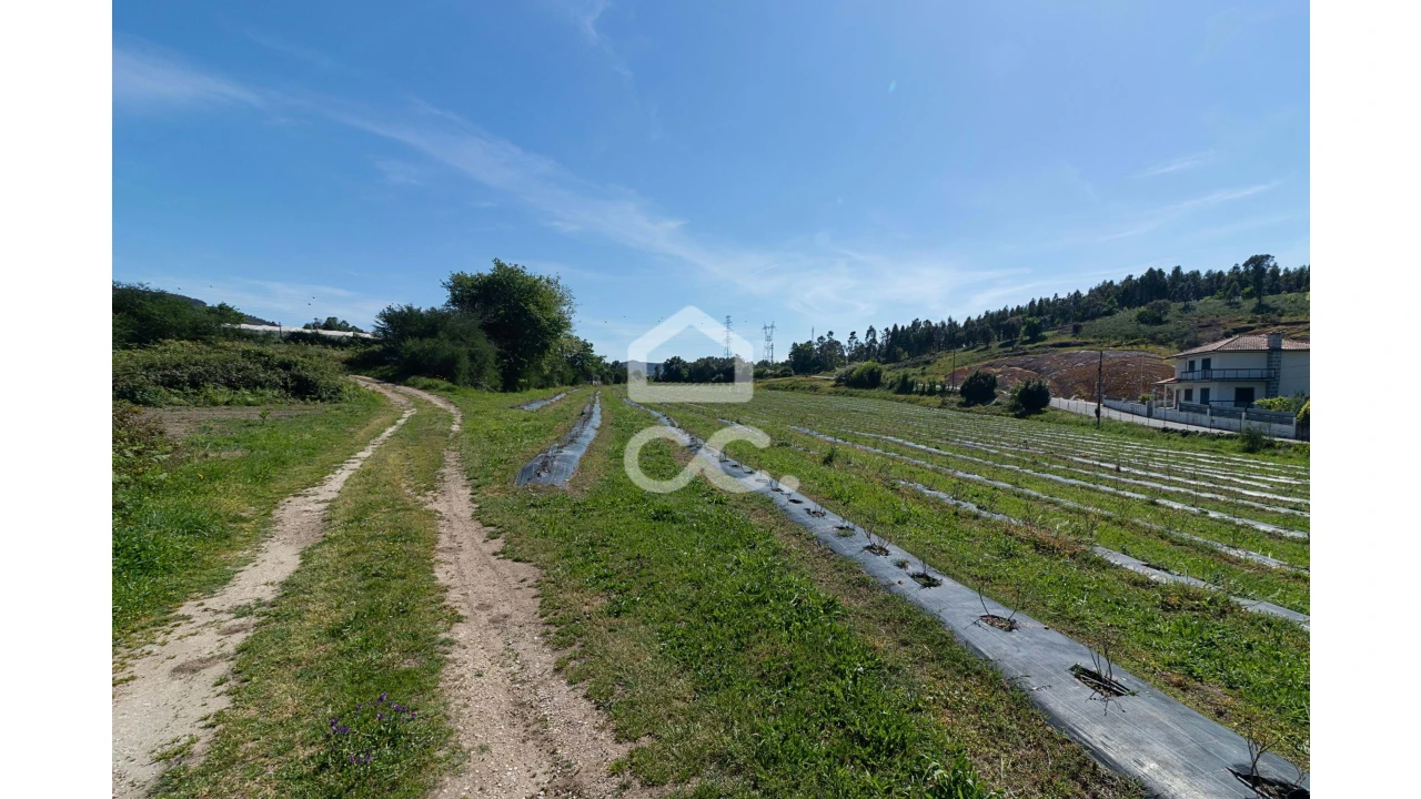 Quinta para Venda em São João de Rei Foto 3