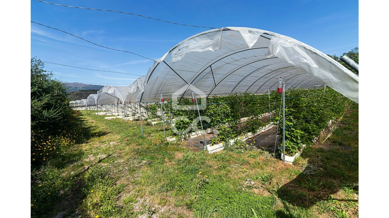 Quinta para Venda em São João de Rei Foto 21