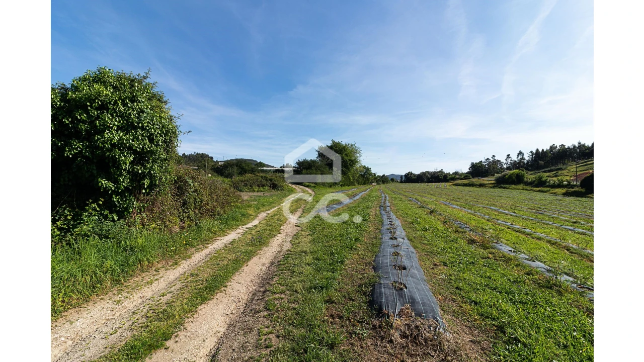Quinta para Venda em São João de Rei Foto 26