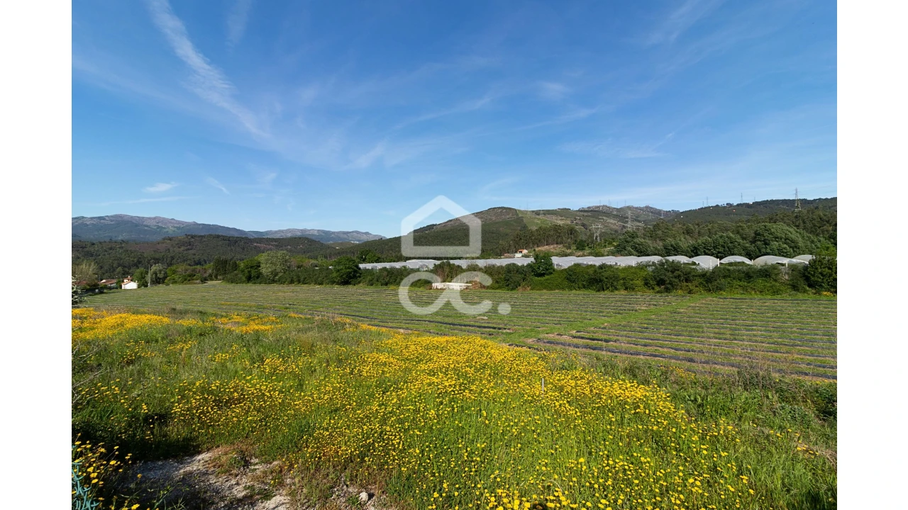 Quinta para Venda em São João de Rei Foto 27
