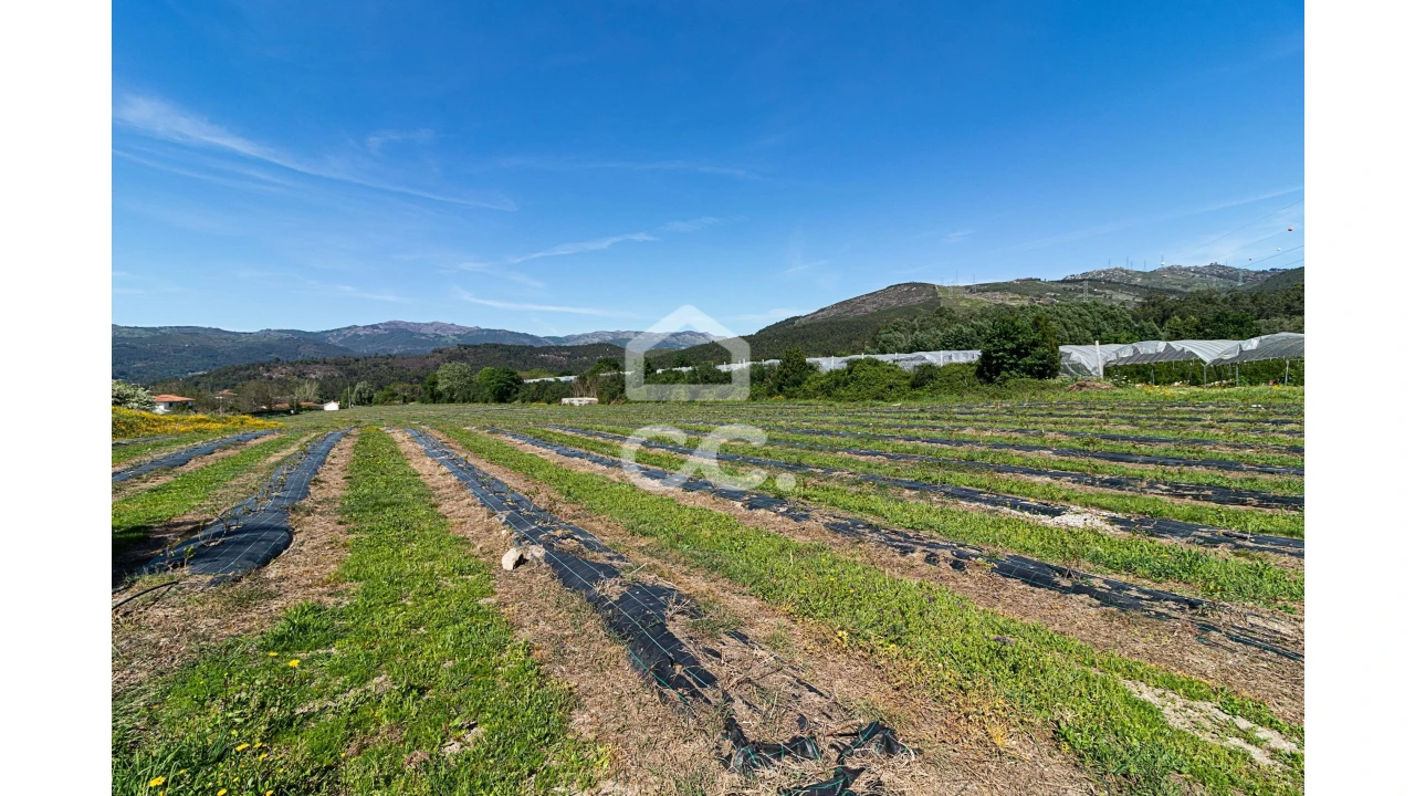 Quinta para Venda em São João de Rei Foto 19