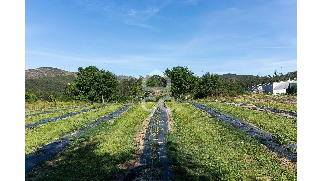 Quinta para Venda em São João de Rei Foto 25