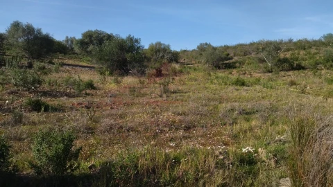 Terreno Agricola ou Rústico para Venda em Alcoutim e Pereiro