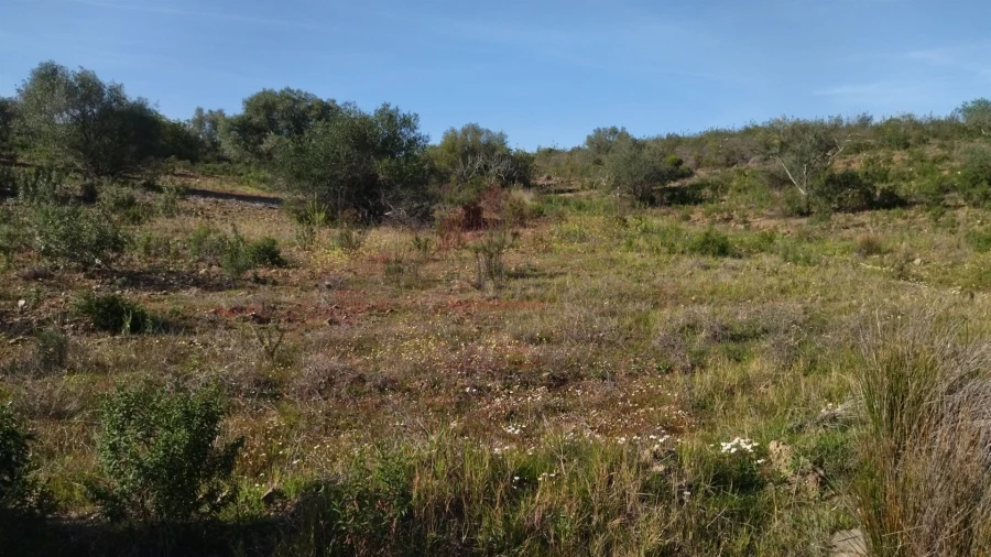 Terreno Agricola ou Rústico para Venda em Alcoutim e Pereiro Foto 2