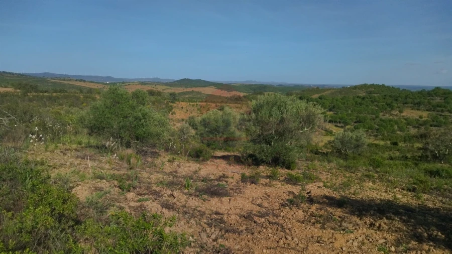Terreno Agricola ou Rústico para Venda em Alcoutim e Pereiro Foto 4