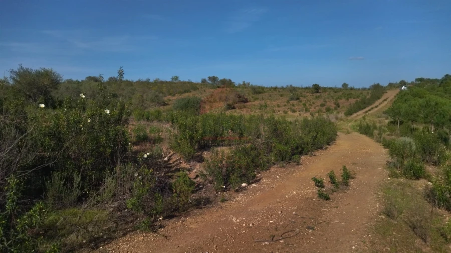 Terreno Agricola ou Rústico para Venda em Alcoutim e Pereiro