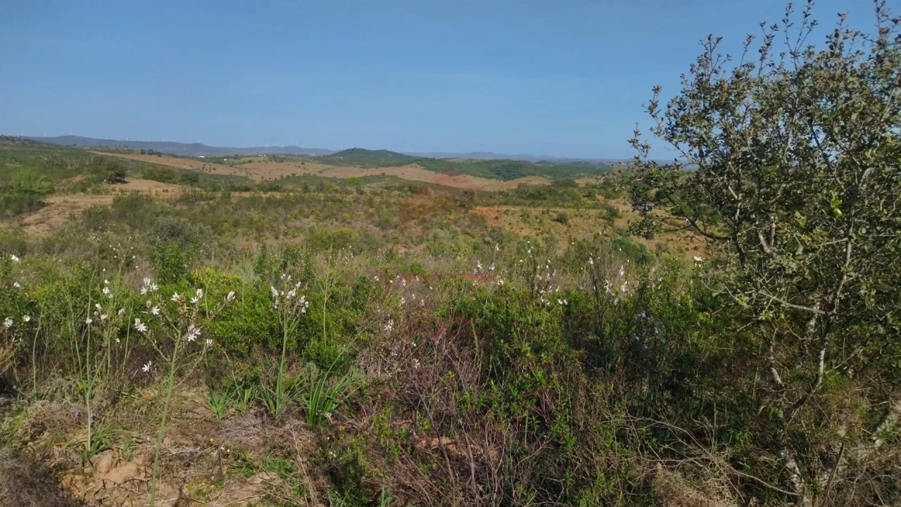 Terreno Agricola ou Rústico para Venda em Alcoutim e Pereiro Foto 3