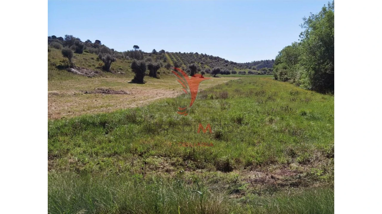 Terreno para Venda em Arneiro das Milhariças Foto 11