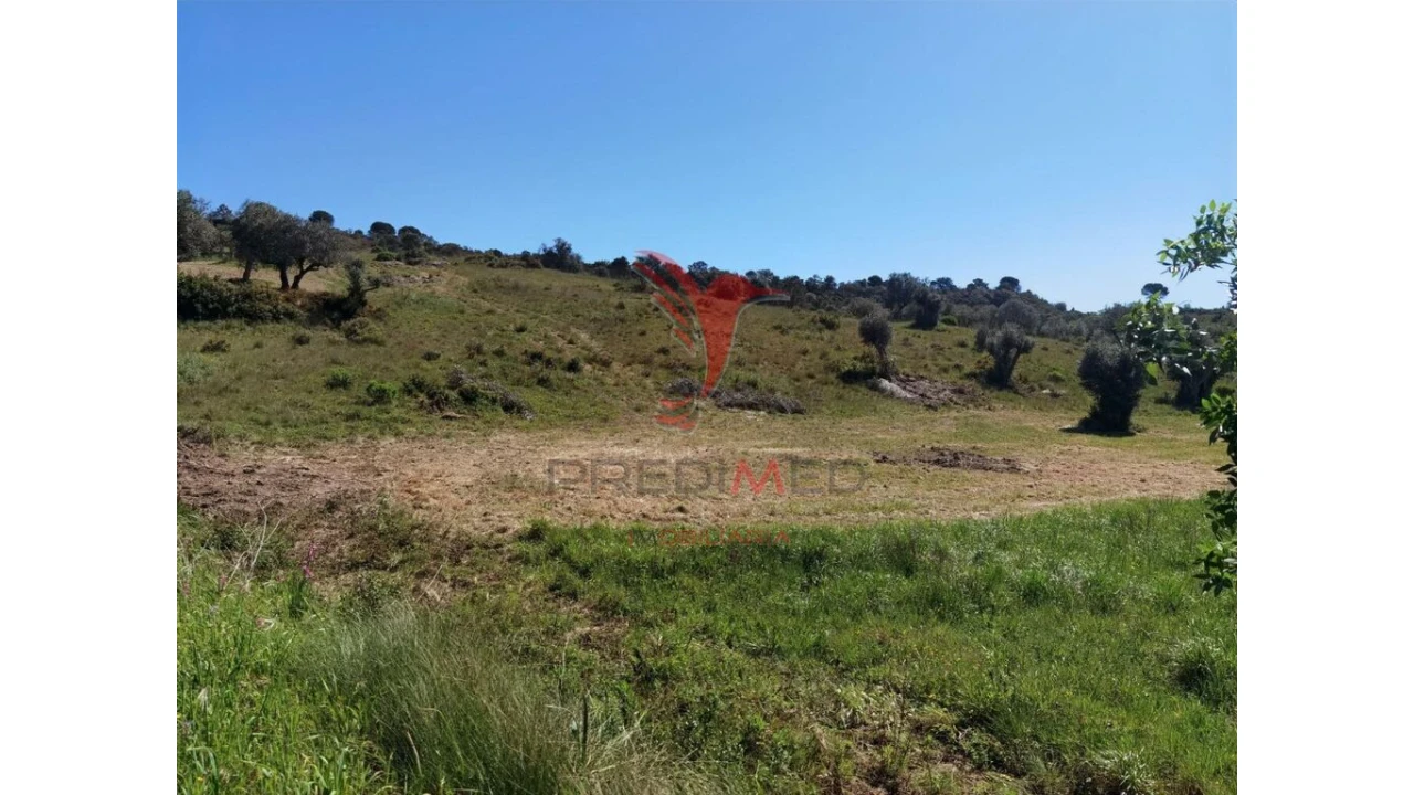 Terreno para Venda em Arneiro das Milhariças Foto 10