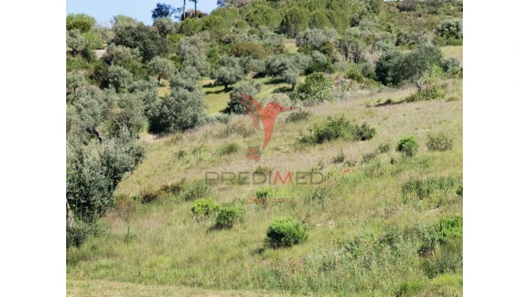 Terreno para Venda em Arneiro das Milhariças