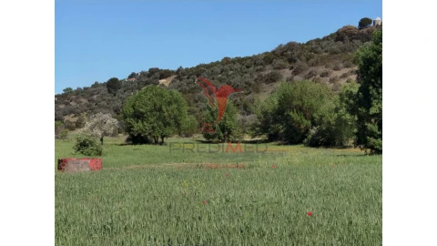 Terreno para Venda em Arneiro das Milhariças