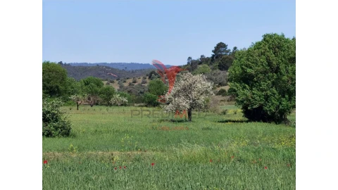Terreno para Venda em Arneiro das Milhariças