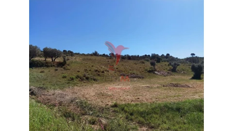 Terreno para Venda em Arneiro das Milhariças