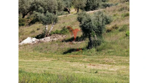 Terreno para Venda em Arneiro das Milhariças