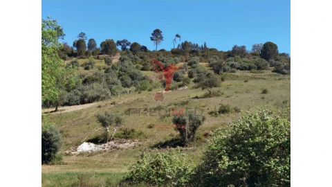 Terreno para Venda em Arneiro das Milhariças