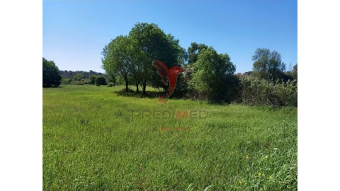 Terreno para Venda em Arneiro das Milhariças